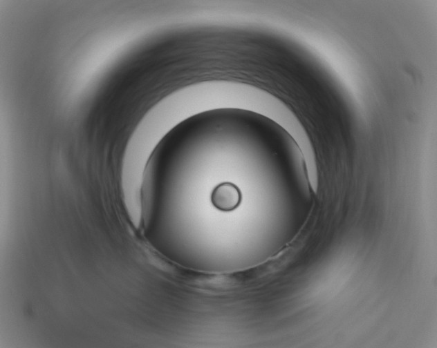 X0000113580431200910161544