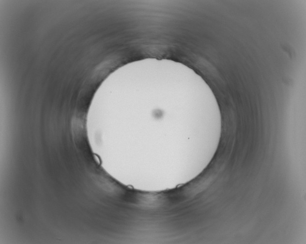 X0000113580432200910161544