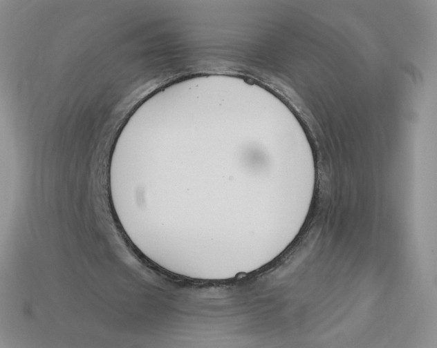 X0000113580433200910161543