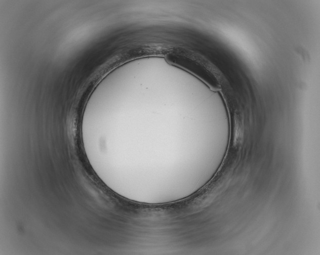 X0000113580435200910161543