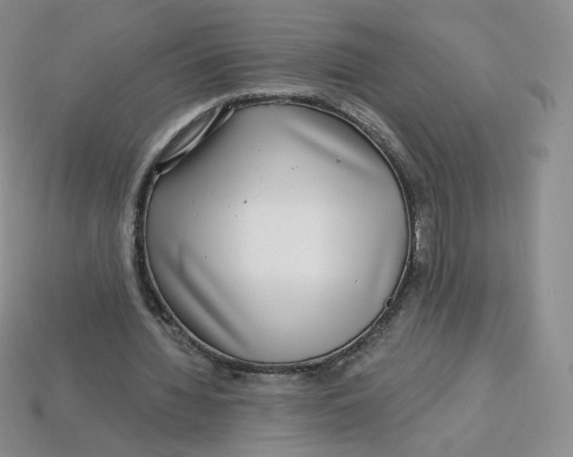 X0000113580436200910161543