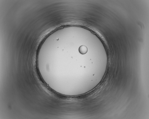 X0000113580437200910161543