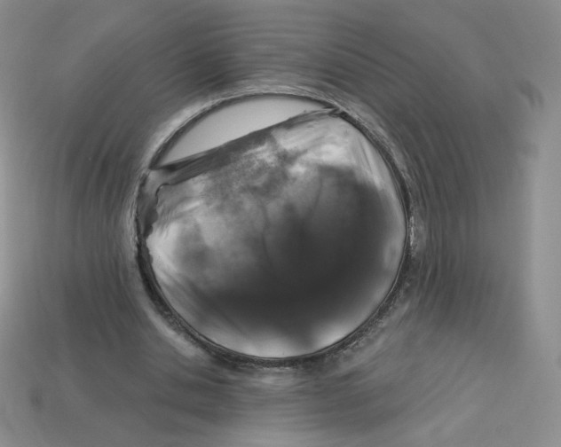 X0000113580438200910161543