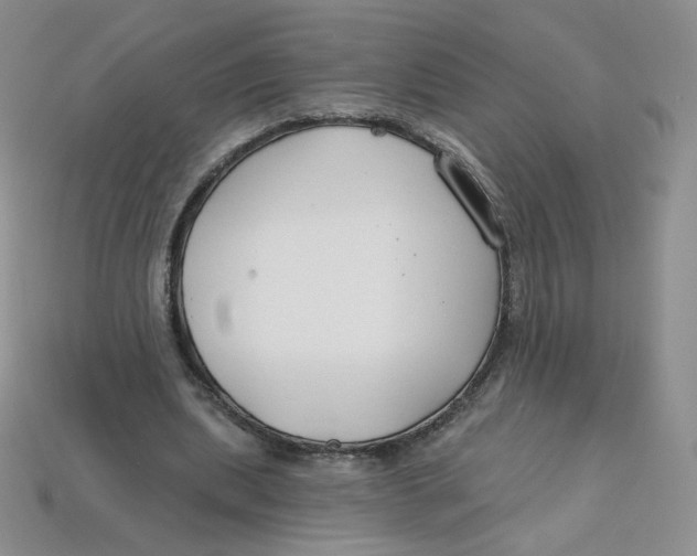 X0000113580439200910161543