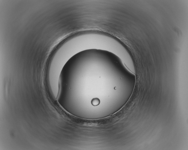 X0000113580440200910161543