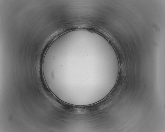 X0000113580442200910161543