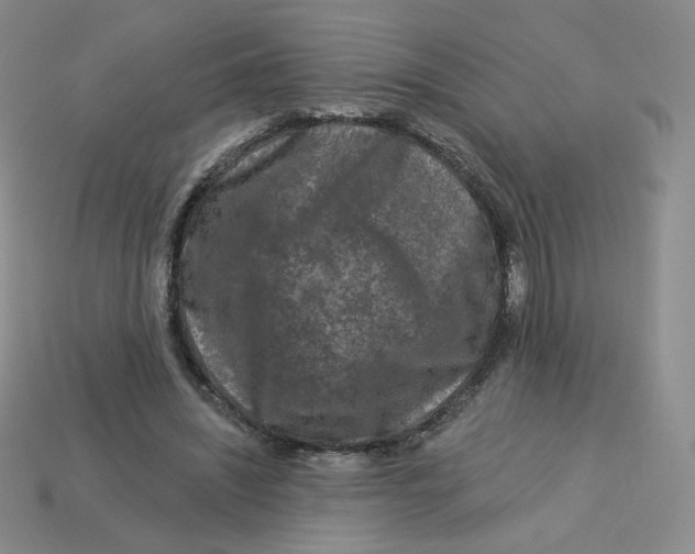 X0000113580444200910161543