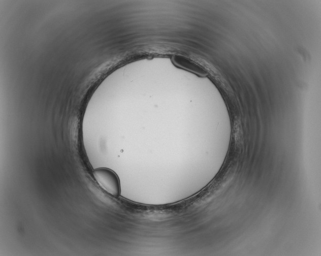 X0000113580445200910161543