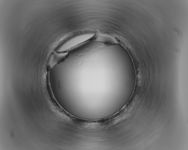 X0000113580446200910161543