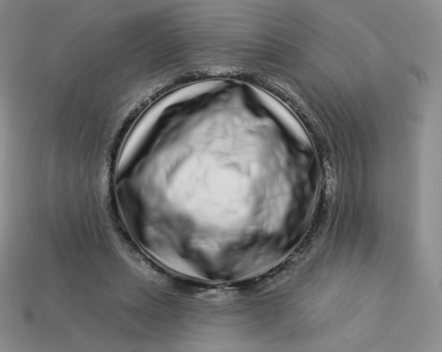 X0000113580447200910161543