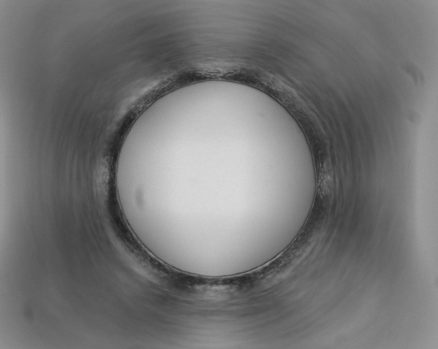 X0000113580448200910161543