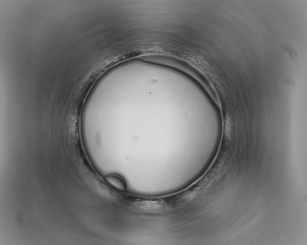 X0000113580449200910161543