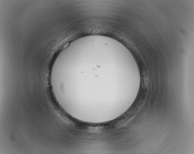 X0000113580450200910161543