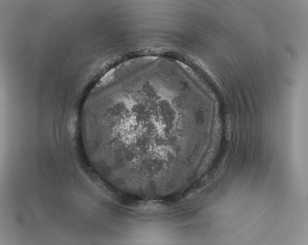 X0000113580451200910161543