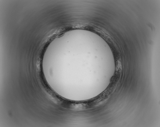 X0000113580452200910161543