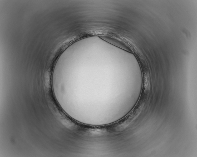 X0000113580453200910161543