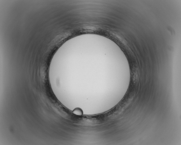 X0000113580455200910161543