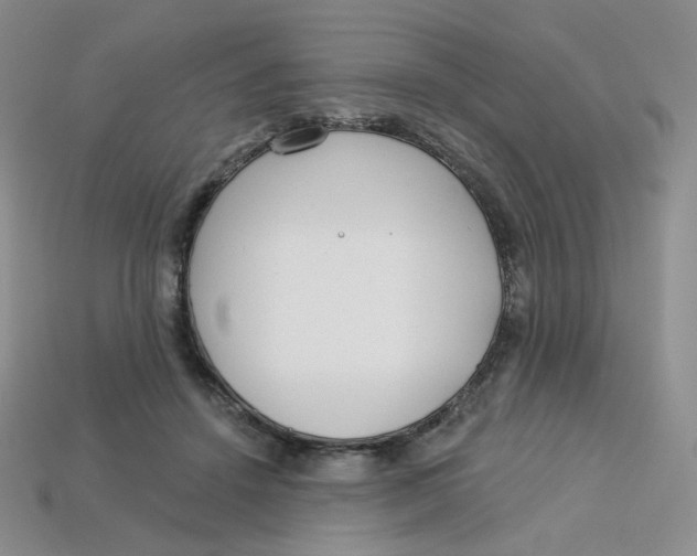 X0000113580456200910161543