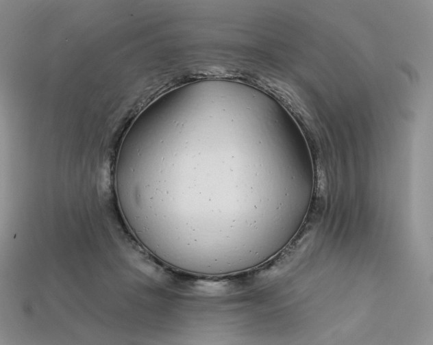 X0000113580457200910161543