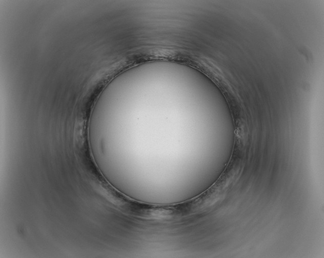 X0000113580462200910161543