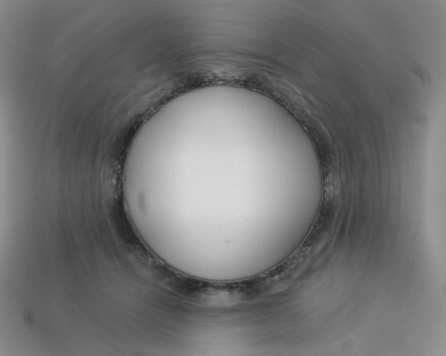 X0000113580464200910161544