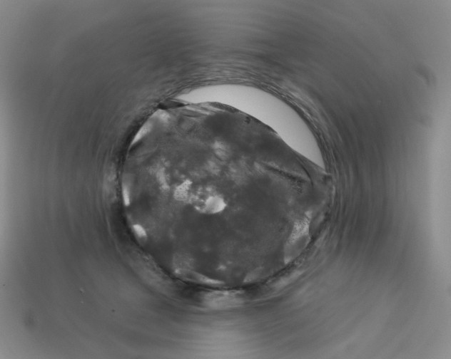 X0000113580465200910161544