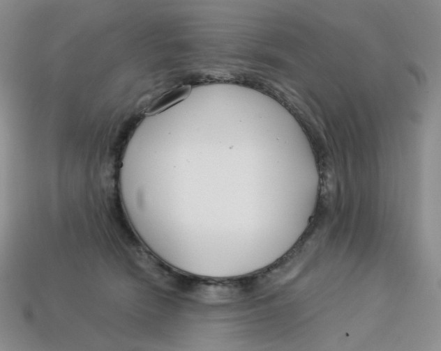 X0000113580466200910161544