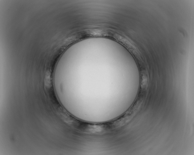 X0000113580469200910161544