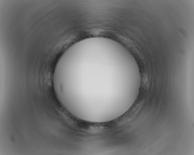 X0000113580470200910161544