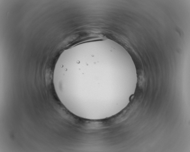 X0000113580476200910161544