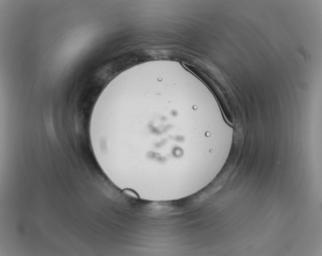 X0000113580477200910161544