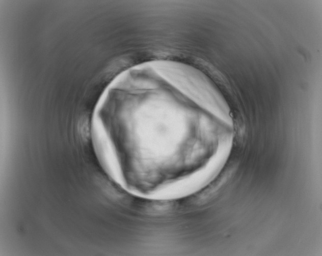 X0000113580479200910161544