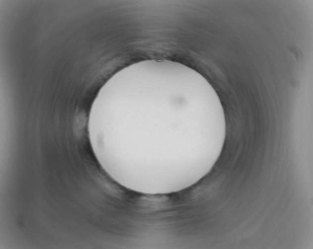 X0000113580480200910161544