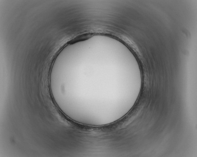 X0000113580481200910161543