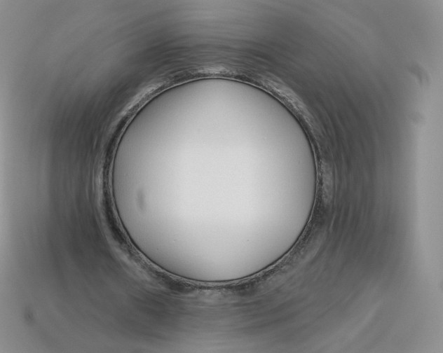 X0000113580482200910161543