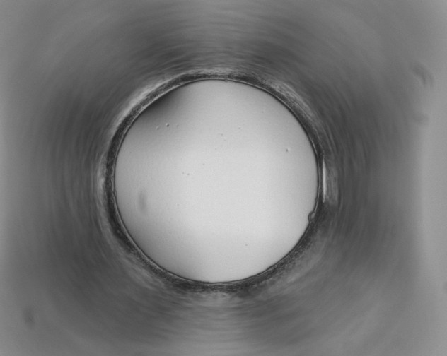 X0000113580483200910161543