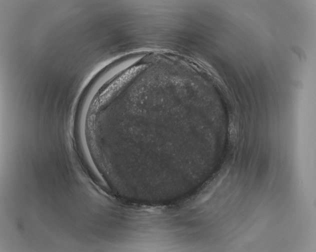 X0000113580484200910161543