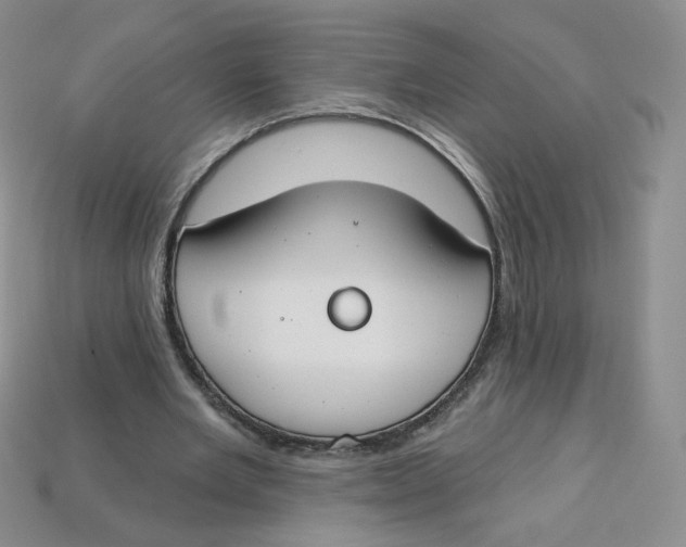 X0000113580485200910161543