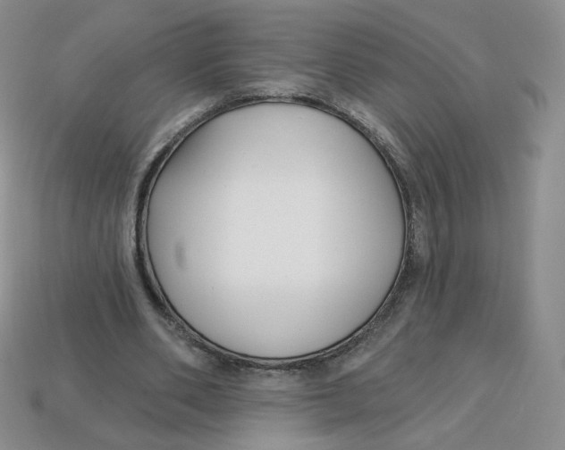 X0000113580486200910161543