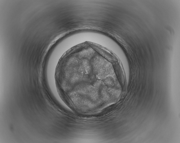 X0000113580488200910161543