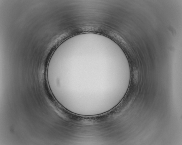 X0000113580490200910161543