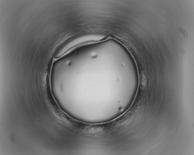 X0000113580491200910161543