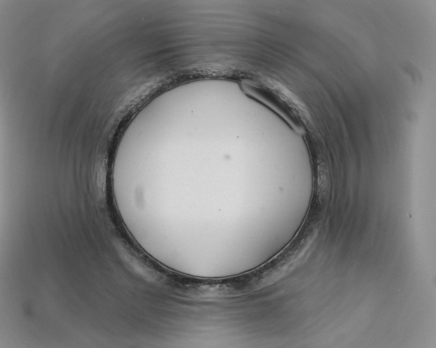 X0000113580493200910161543