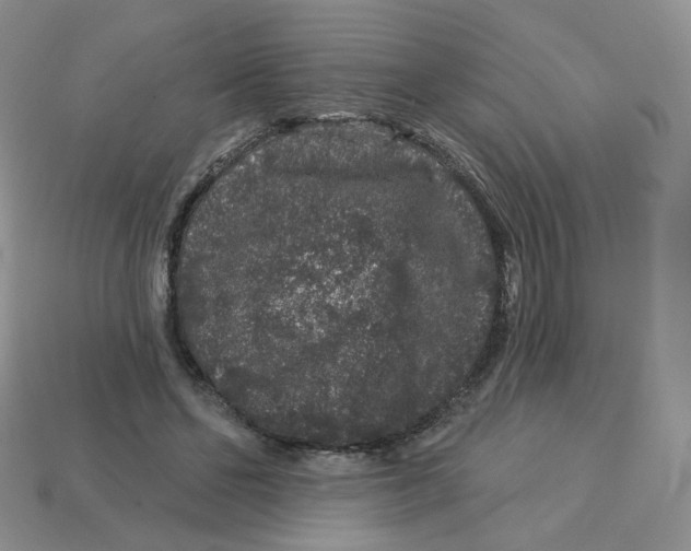 X0000113580494200910161543