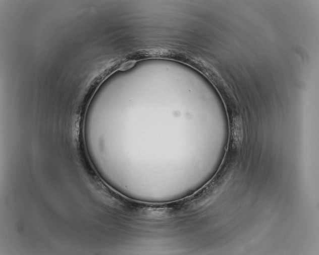 X0000113580495200910161543