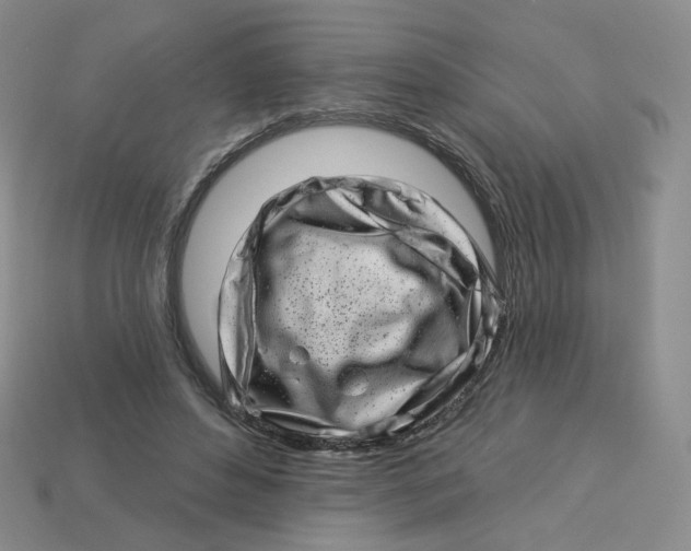 X0000113580496200910161543