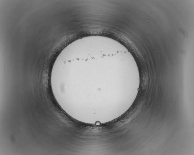 X0000113580497200910161543