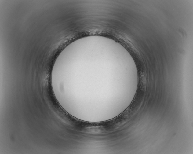 X0000113580499200910161543