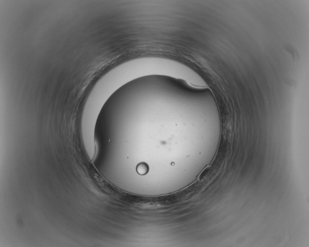 X0000113580500200910161543