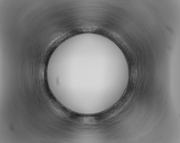 X0000113580501200910161543